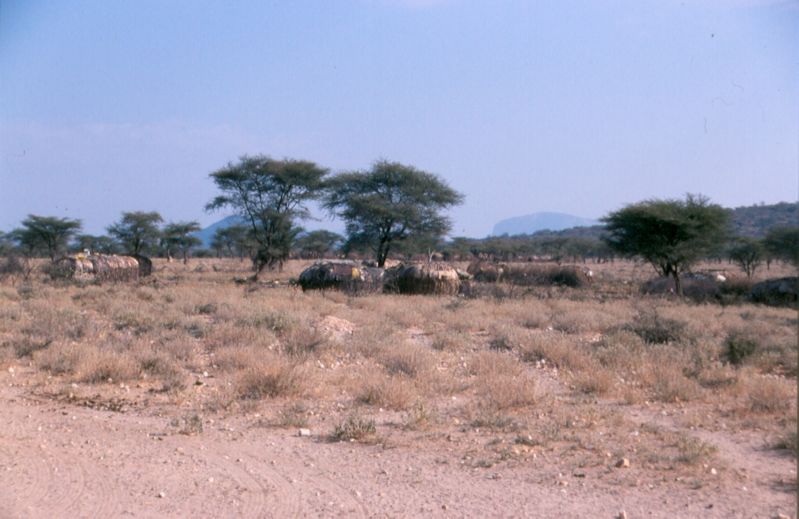 1-19 Samburu dorp - Samburu national reserve